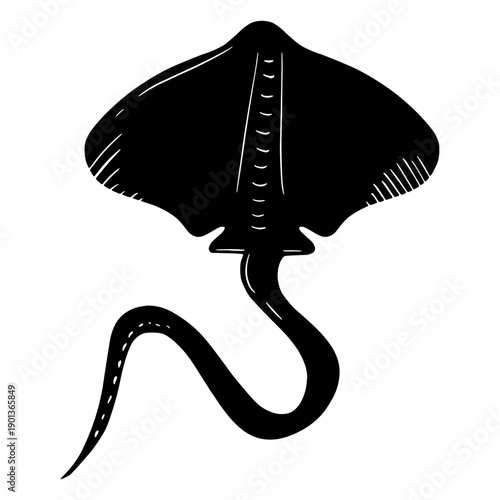 Photography Skates ray black