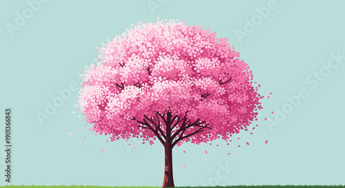 Single large cherry blossom tree in full bloom with vibrant pink flowers stands on a green lawn against a light blue background.