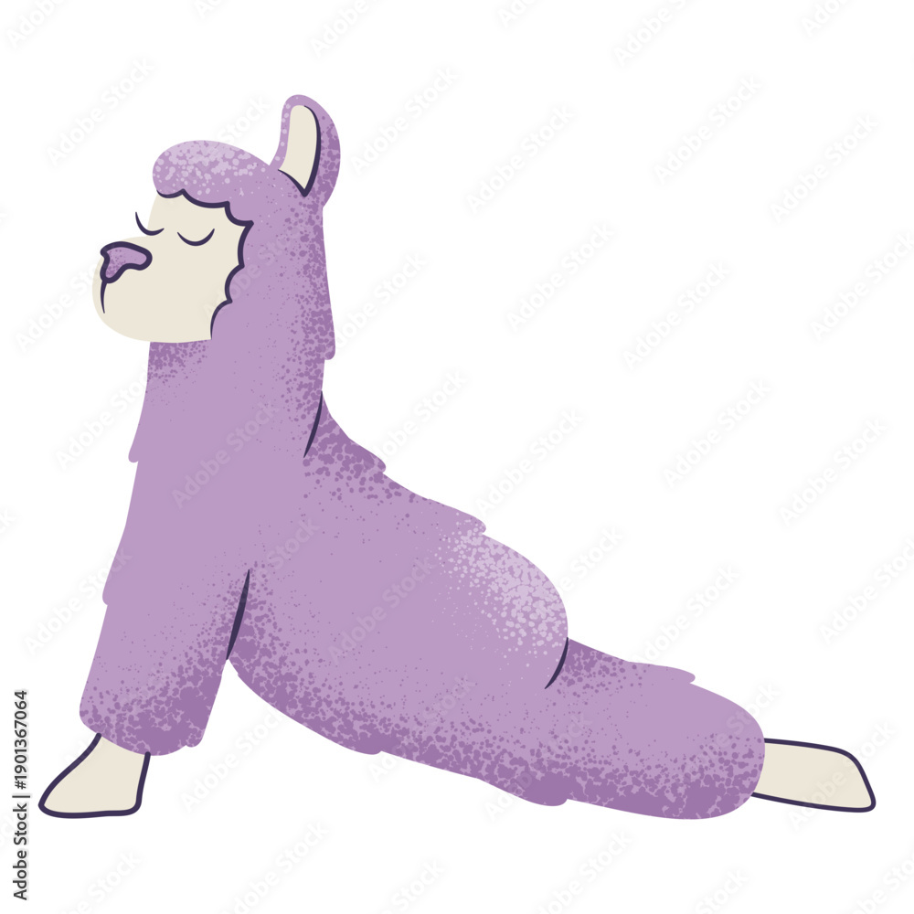 Fototapeta premium Llama upward facing dog yoga