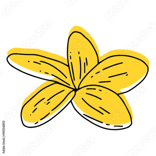 Plumeria flower flat