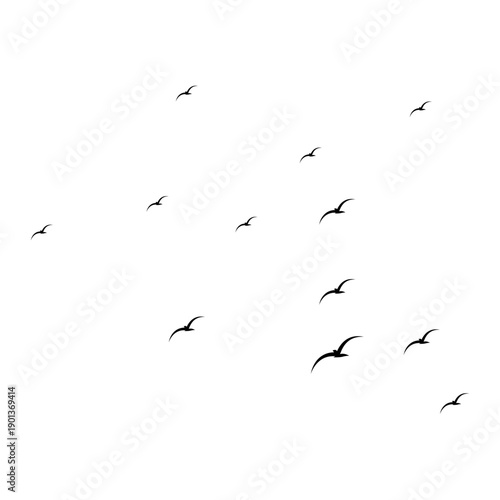 Illustration of a Flock of Flying Seagulls