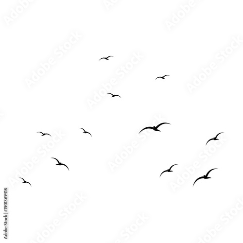 Illustration of a Flock of Flying Seagulls