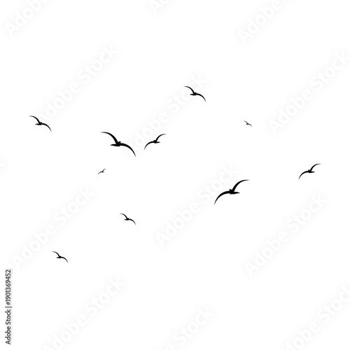 Illustration of a Flock of Flying Seagulls