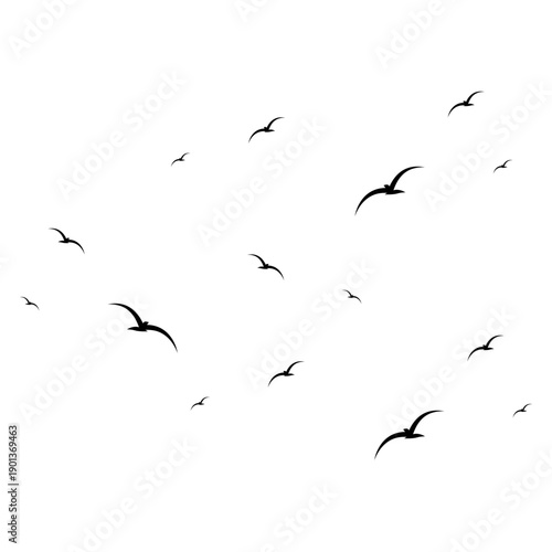 Illustration of a Flock of Flying Seagulls