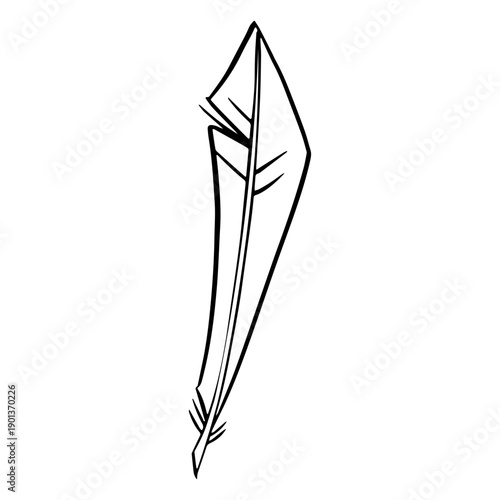 Long feather drawn