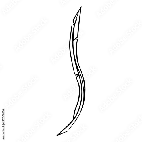 Very slim looking feather