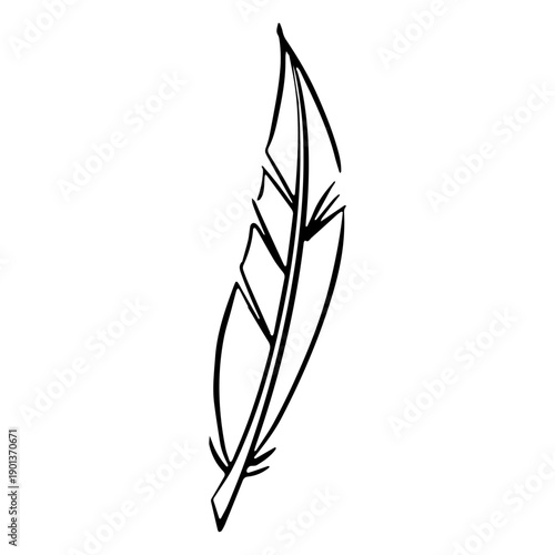 Boho drawn feather feather
