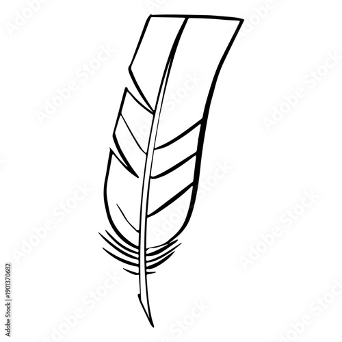 Straight tip boho feather