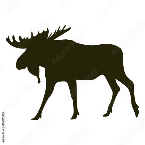 Hunting moose left facing walking