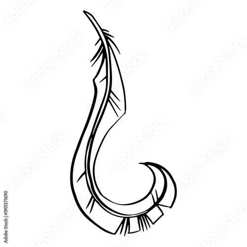 Curly end feather