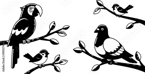 birds on a tree
