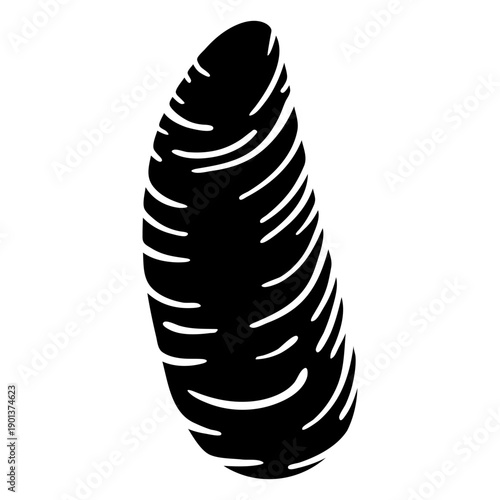 Seashells incongruous ark