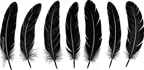 Black feather collection vector illustration set, realistic bird plumage silhouettes, hand drawn decorative quill design bundle isolated