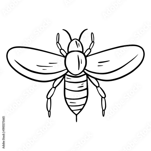 Cute honey bee stroke