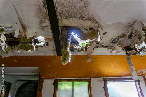 Damaged ceiling with holes and hanging insulation in an abandoned house, showing signs of moisture, mold, and structural decay, urbex interior details.