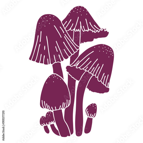 Fungus mushrooms group