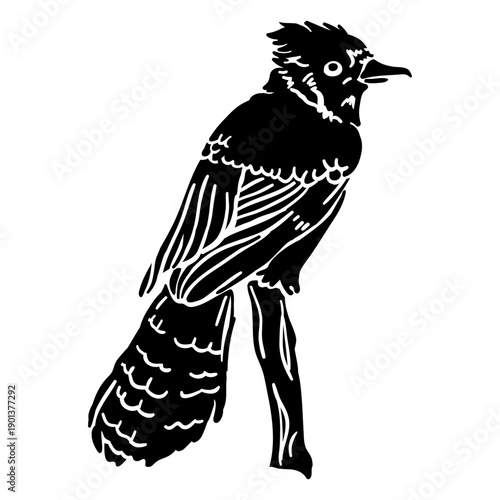 Realistic hand drawn bird blue jay perching black