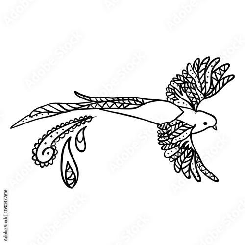 Bird cockatoo animal line design