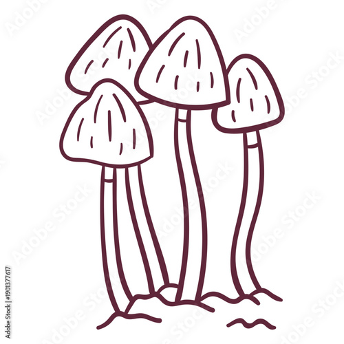 Fungus mushrooms stroke