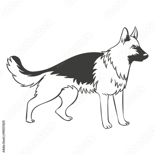 German shepherd staring hand drawn