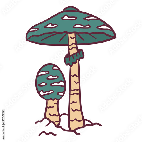 Green amanita poisonous illustration