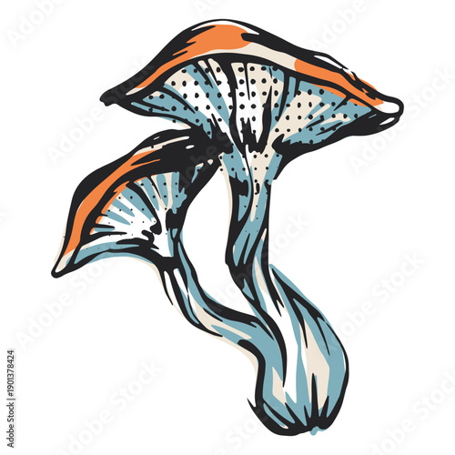 Mushroom nature illustration