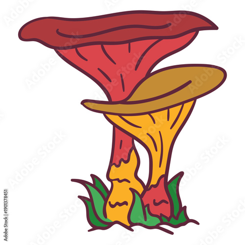 Oyster mushroom fungus illustration