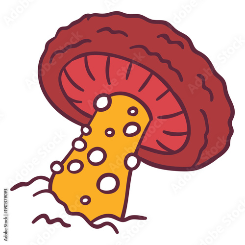Toadstool fungus illustration
