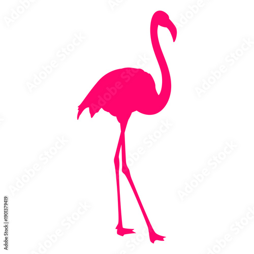 Tropical flamingo silhouette