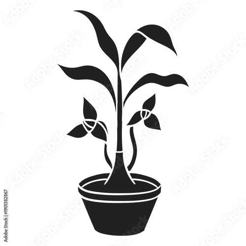 Trilium houseplant cut out