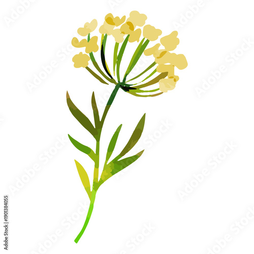 Yellow flowers watercolor