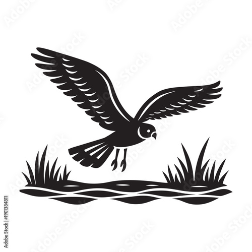Flying Harrier Marsh Predator Bird Silhouette
