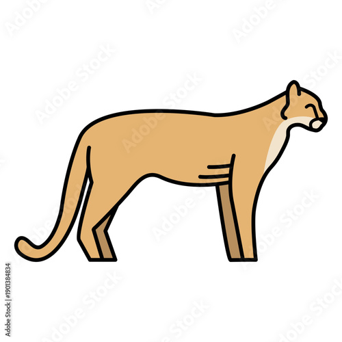 Wild cat feline animal color stroke