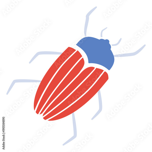 Red beetle flat beetle