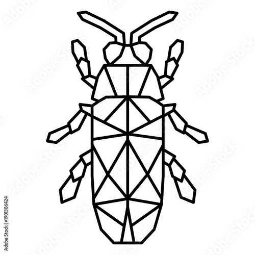 Polygonal stroke beetle from top