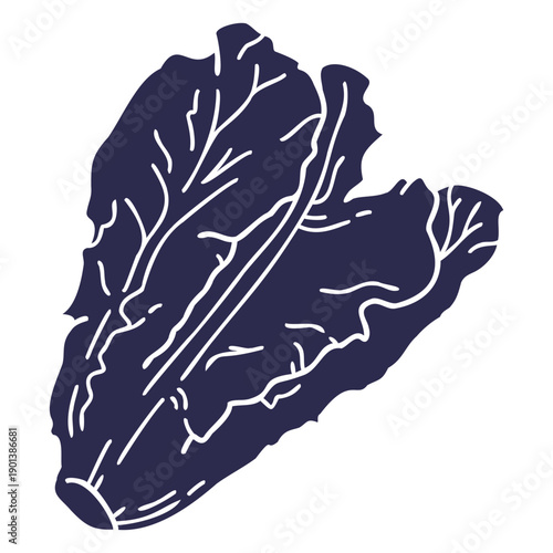 Cut out romaine lettuce