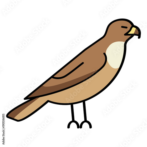 Simple color stroke hawk profile