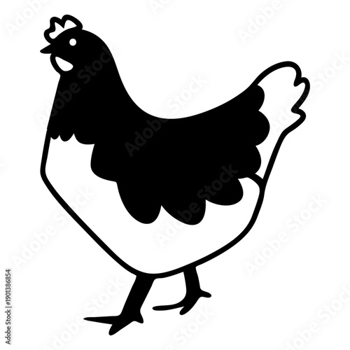 Chicken farm animal