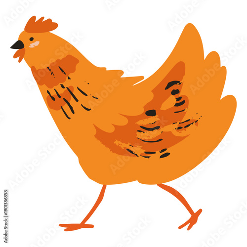 Chicken walking flat