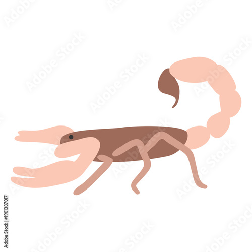 Scorpion dangerous animal