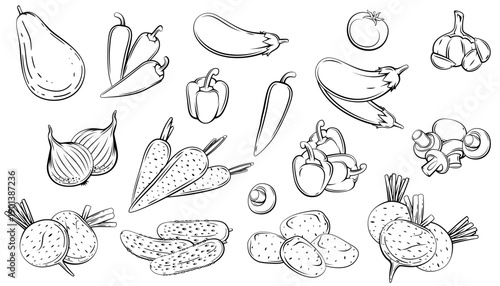 Set of Vegetables Vector Illustration. Hand Drawn Veggies Isolated. Vegetable Line Art