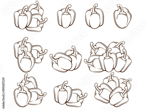 Bell Pepper Illustration. Set of Vegetables Vector Illustration. Hand Drawn Veggies Isolated. Vegetable Line Art