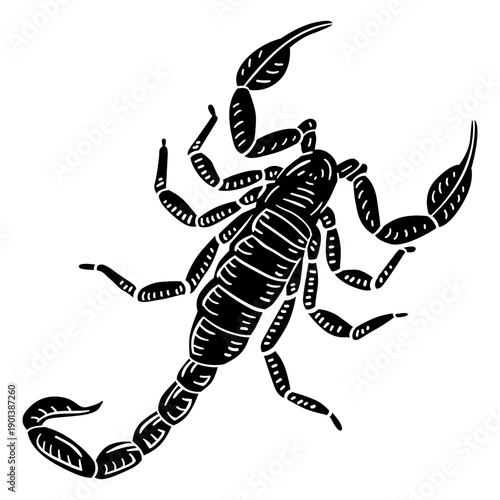 Deadly scorpion cut-out