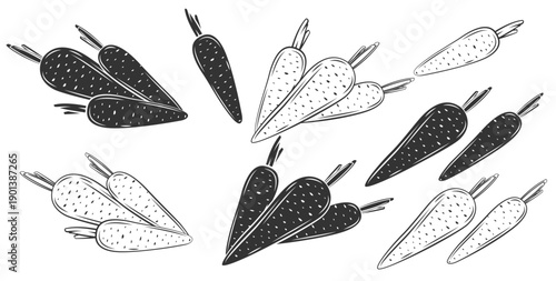 Carrot Illustration. Set of Vegetables Vector Illustration. Hand Drawn Veggies Isolated. Vegetable Line Art