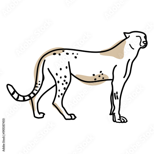 Color stroke semi colored cheetah