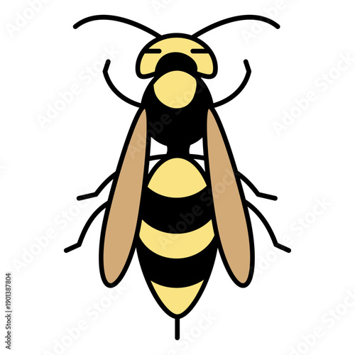 Simple color stroke wasp top view