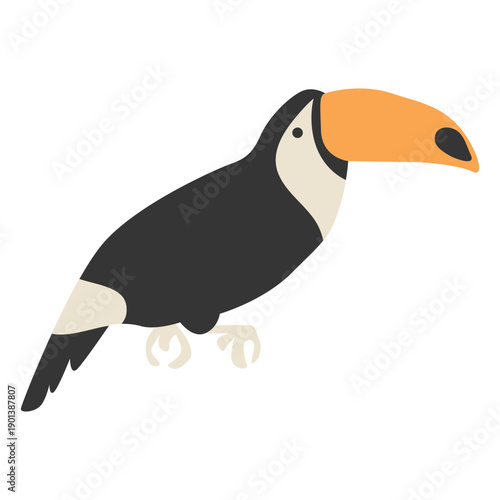 Toucan exotic bird