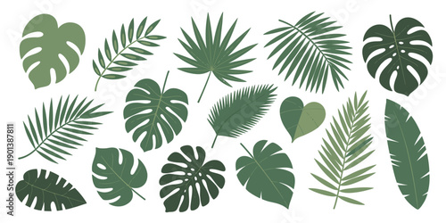 Collection of vibrant green tropical leaves on a white background featuring lush foliage botanical elements for nature decor branding prints wallpapers and modern design projects