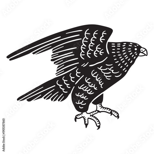 Hand drawn flying eagle