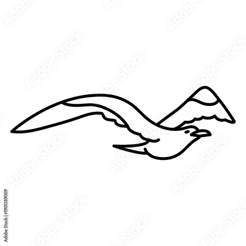 Seagull bird animal stroke